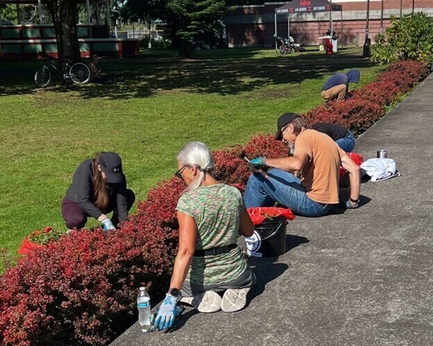 People kneeling on a sidewalk tending to flowers planted alongside the path