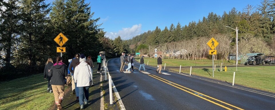 people walking alongside a road on a sunny day